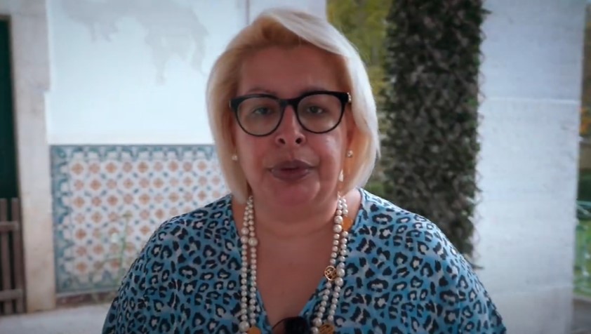Como podemos promover a Não Violência e a Paz na sociedade